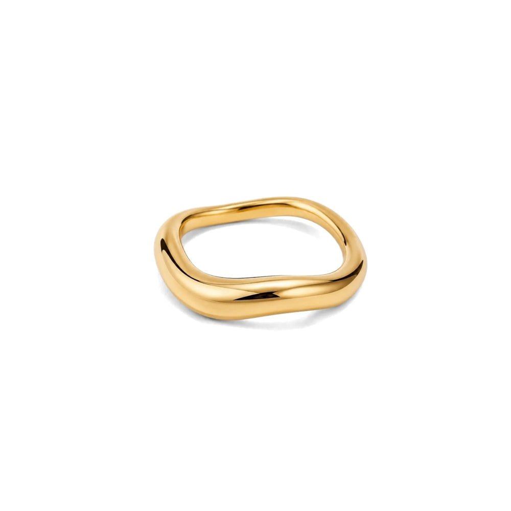 Anneau Flow Ring