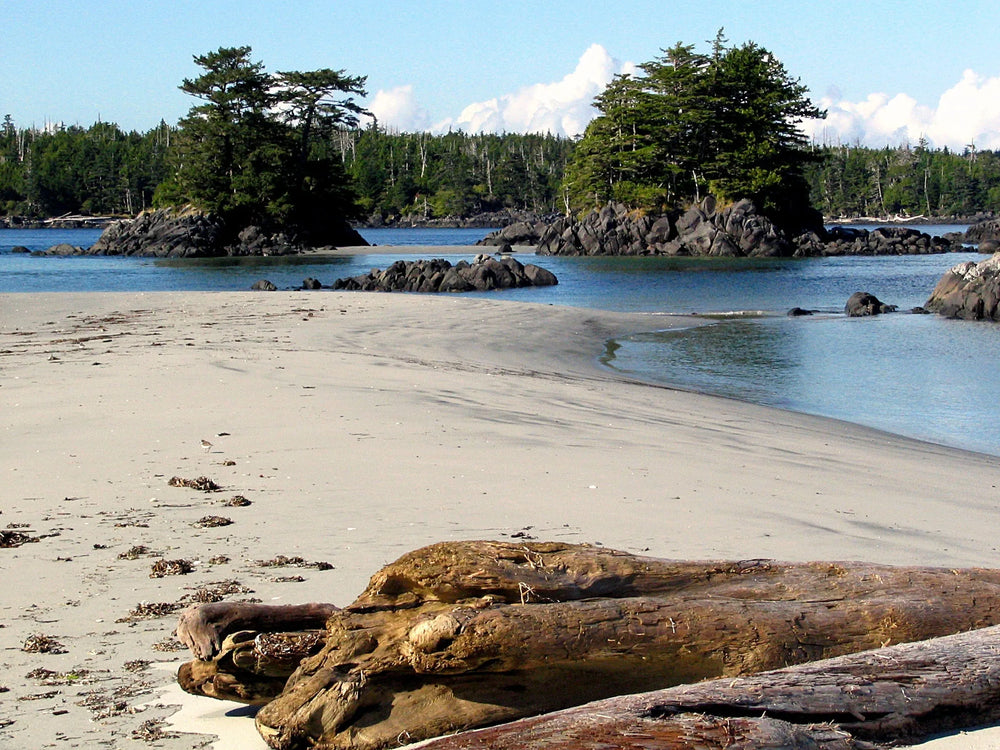 Carte de kayak et de navigation 249 North Hakai