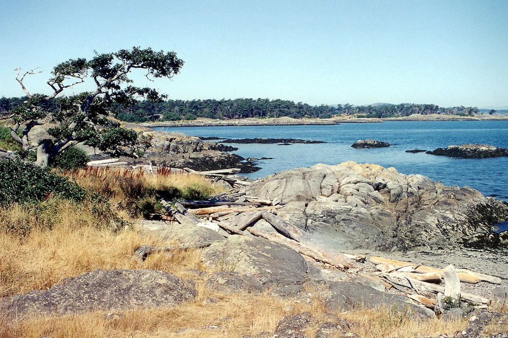 215 Victoria-Sooke Kayaking and Boating Map
