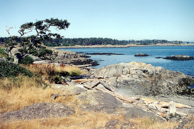215 Victoria-Sooke Kayaking and Boating Map