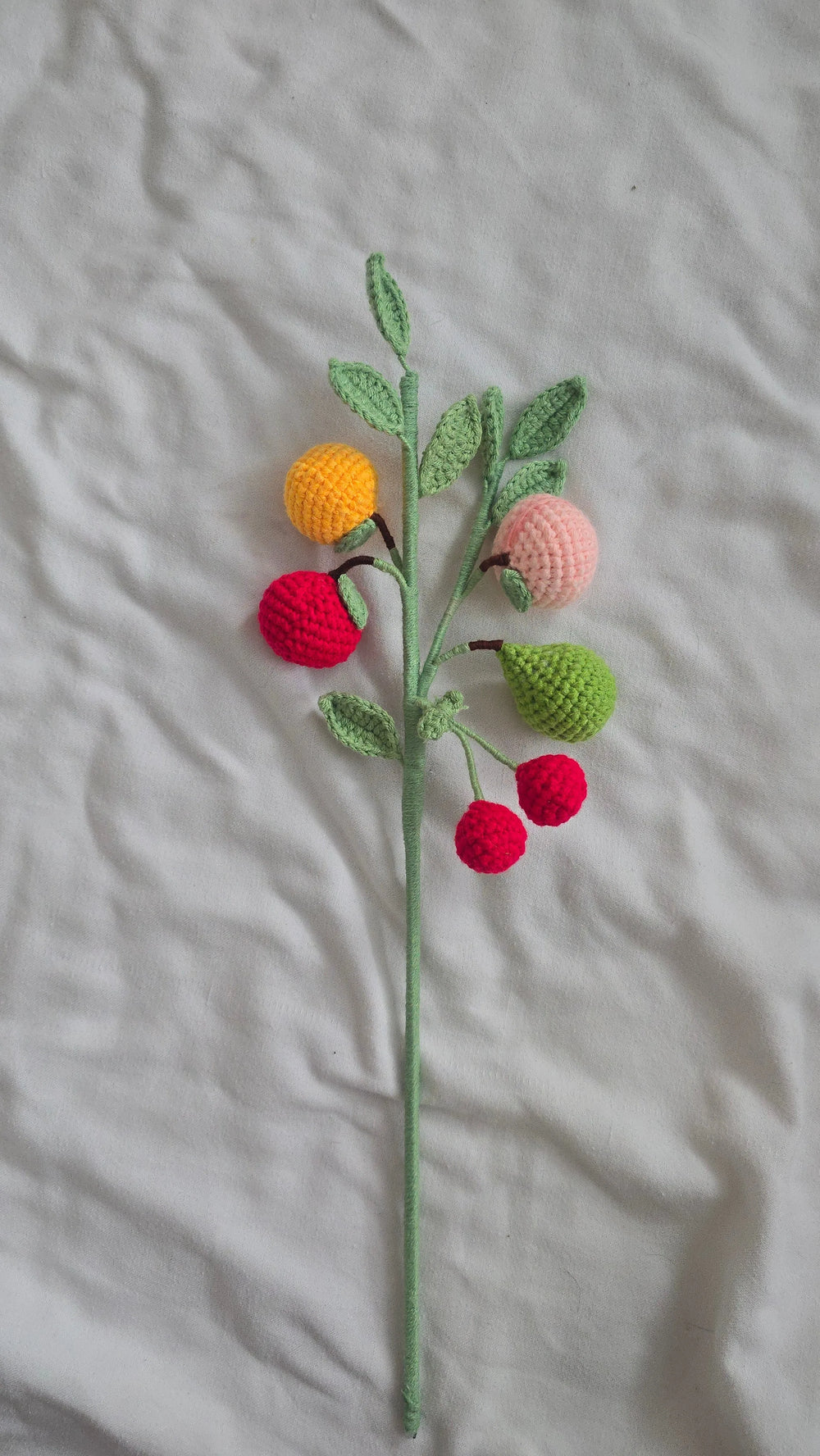 Fruits (50% off!)