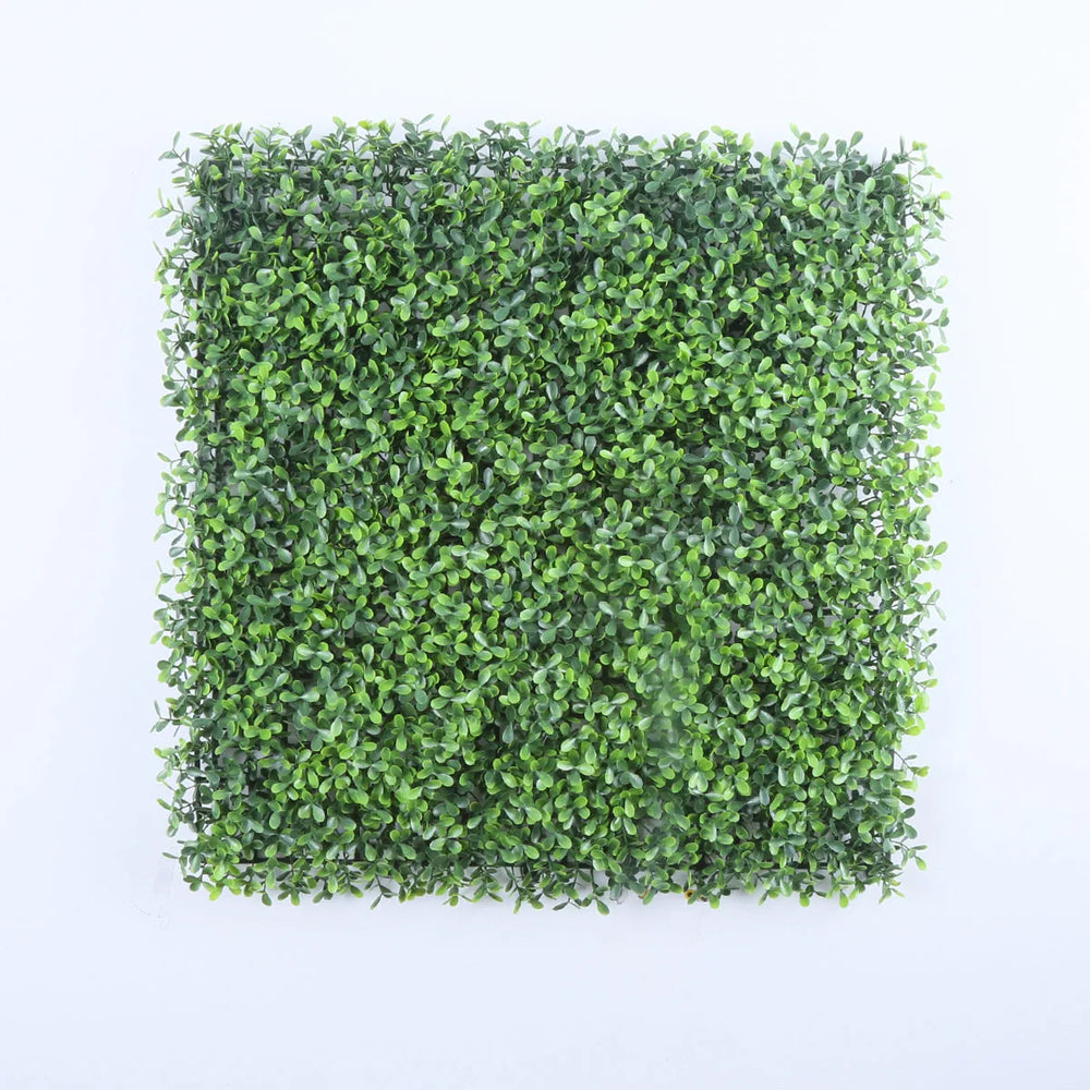 Valencia (box of 12)