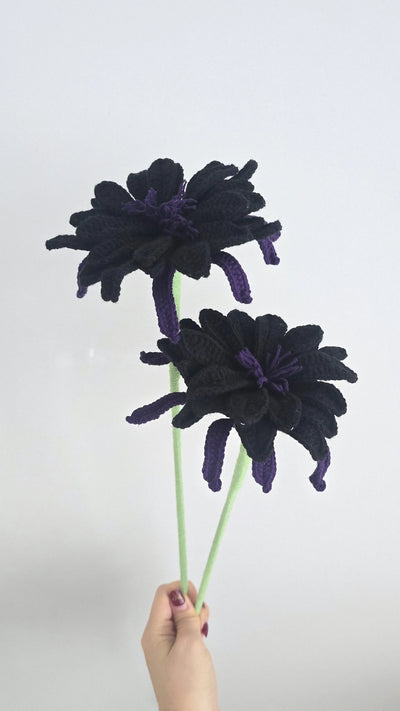 WoW/Magic: Black Lotus