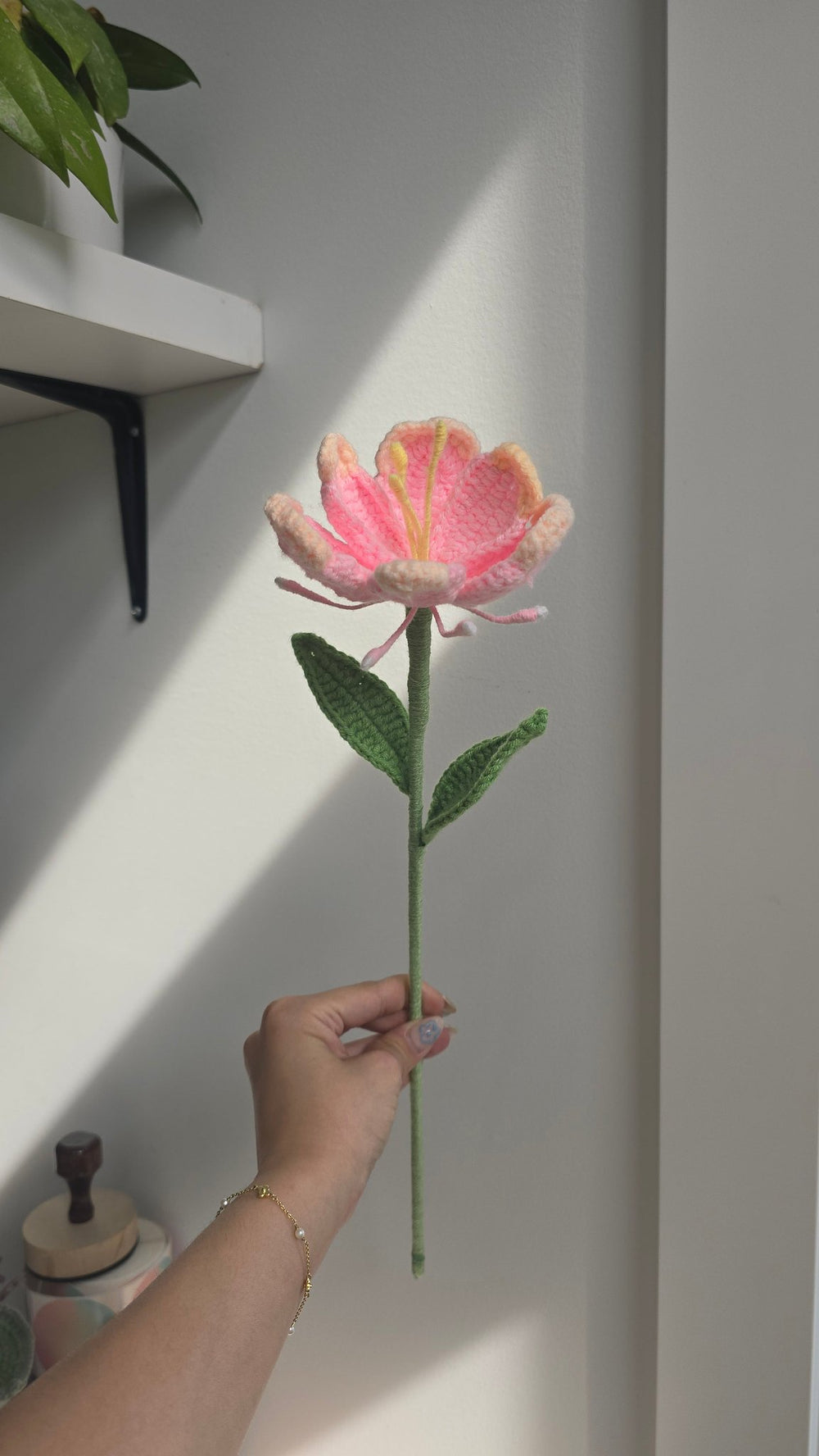 GI: Rainbow Rose