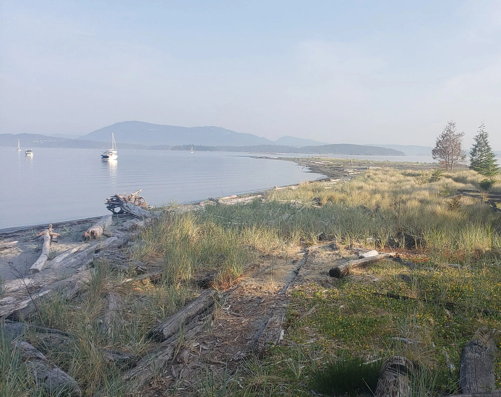 Assistant cartographique 501 Victoria/Îles Gulf Passage Intérieure