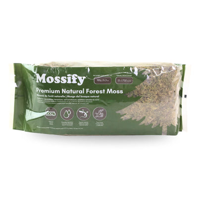 Mousse Naturelle Premium des Forêts