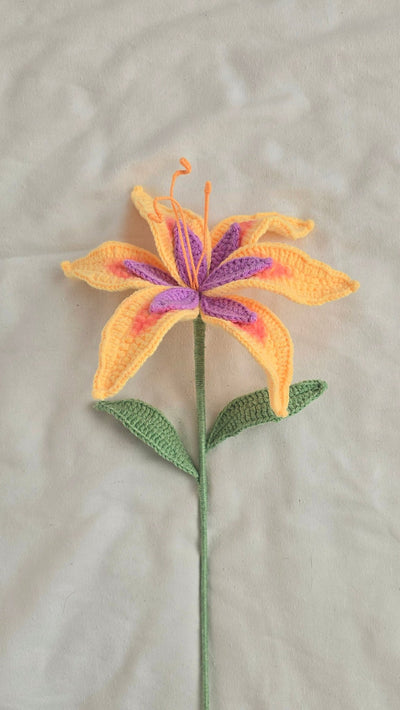 Sundrop Flower