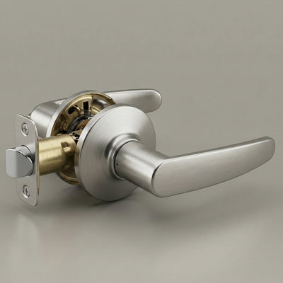 Poignée de porte AeroCurve Vellum Hardware — Serrure à clé, intimité, passage et décorative