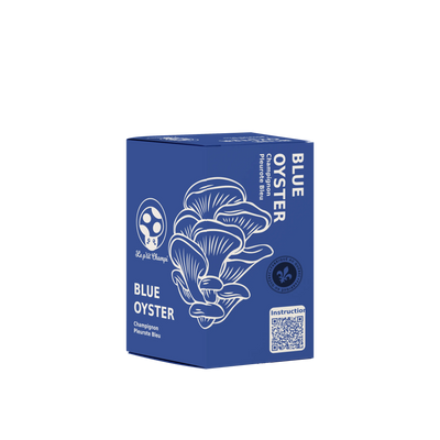 Blue Oyster Mushroom Kit