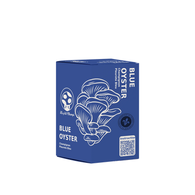 Blue Oyster Mushroom Kit