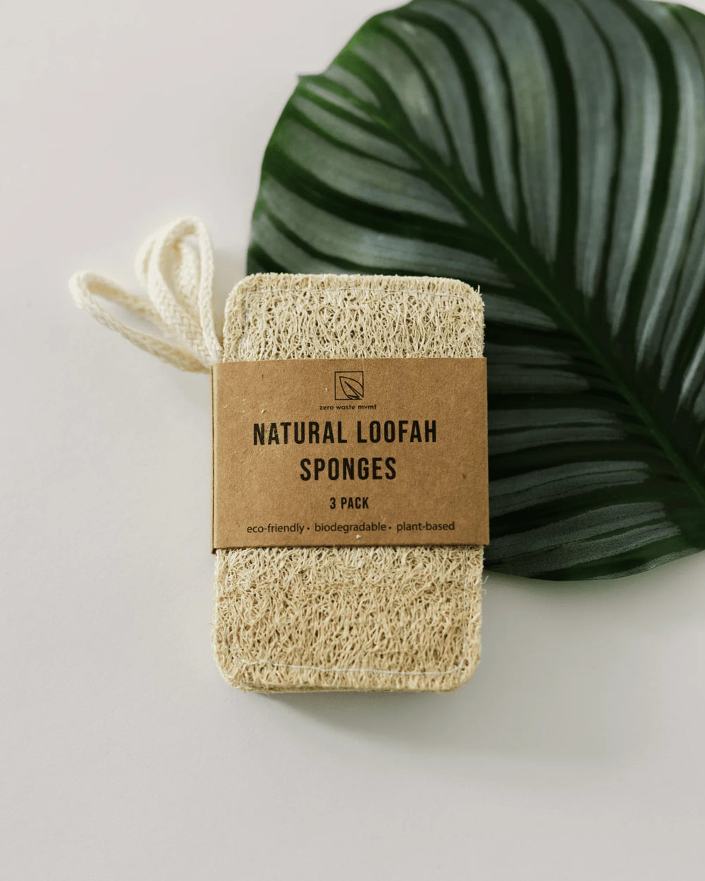 Ensemble de 3 éponges luffa naturelles