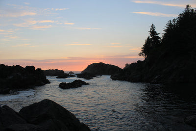 406 Nootka Trail Topographic Hiking Map