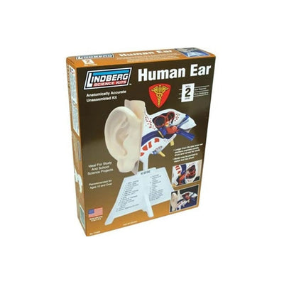 Kit éducatif Lindberg 71308 sur l'oreille humaine (Niveau 2) NEUF