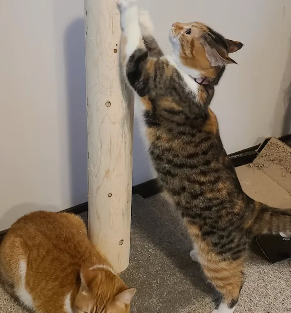 Modèle 28 - 28: Poteau à griffer pour chat en cèdre de 28"