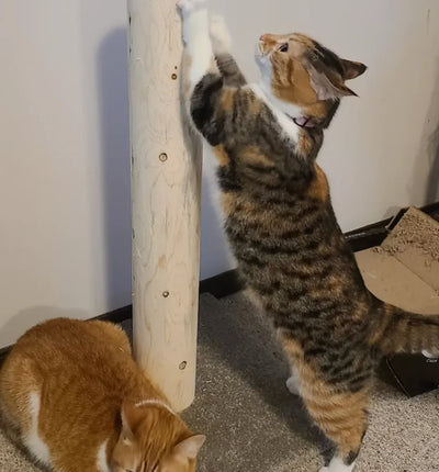 Modèle 28 - 28: Poteau à griffer pour chat en cèdre de 28"