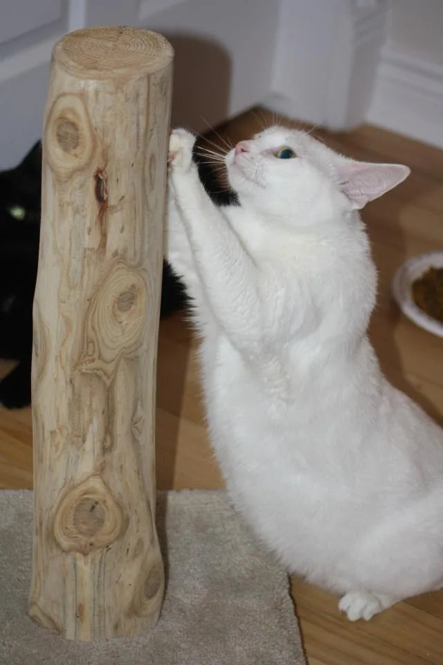 Model 28 - 19" Cedar Scratch Posts for Cats