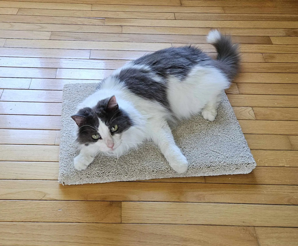 Modèle 13 - Tapis de yoga chaton