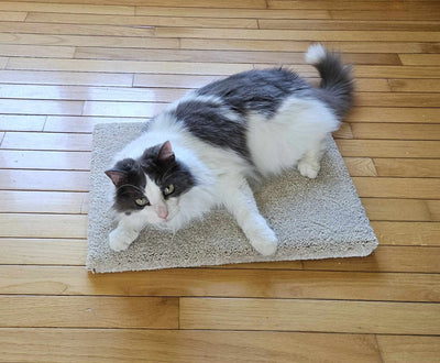Modèle 13 - Tapis de yoga chaton