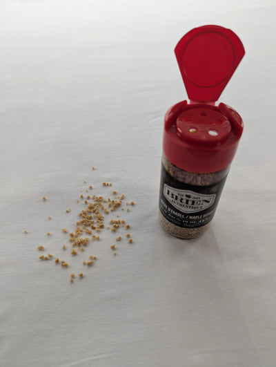 Salière de sucre d'érable canadien - 65 g