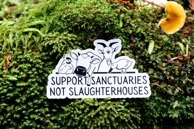 Support Sanctuaries Not Slaughterhouses Vegan Sticker