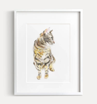 Gray Tabby Cat Art Print