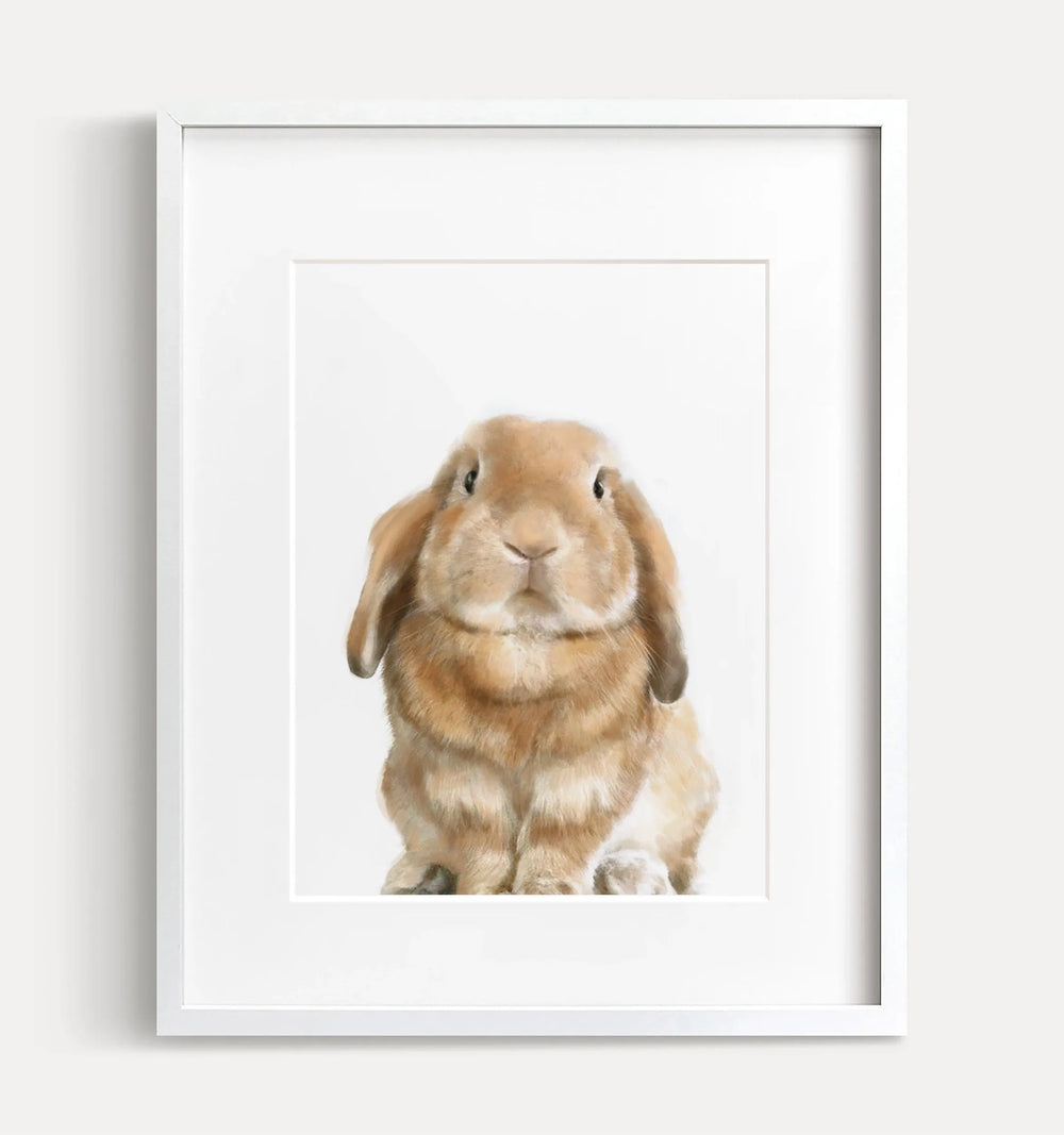 Impression d'art : Lapin Lop