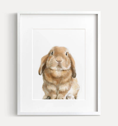 Lop Rabbit Art Print