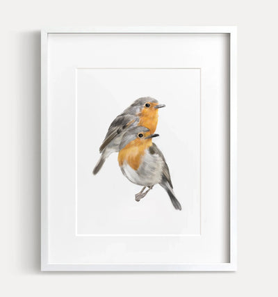 Robin Birds Art Print