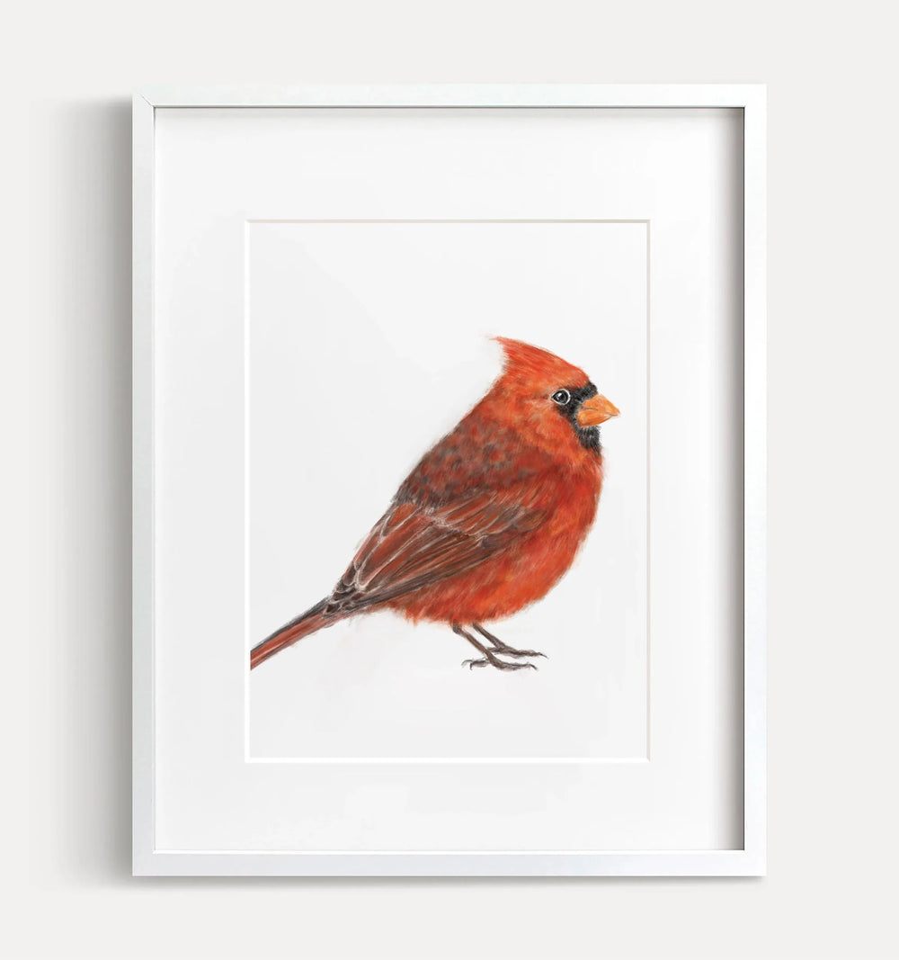 Impression d'art : Cardinal rouge