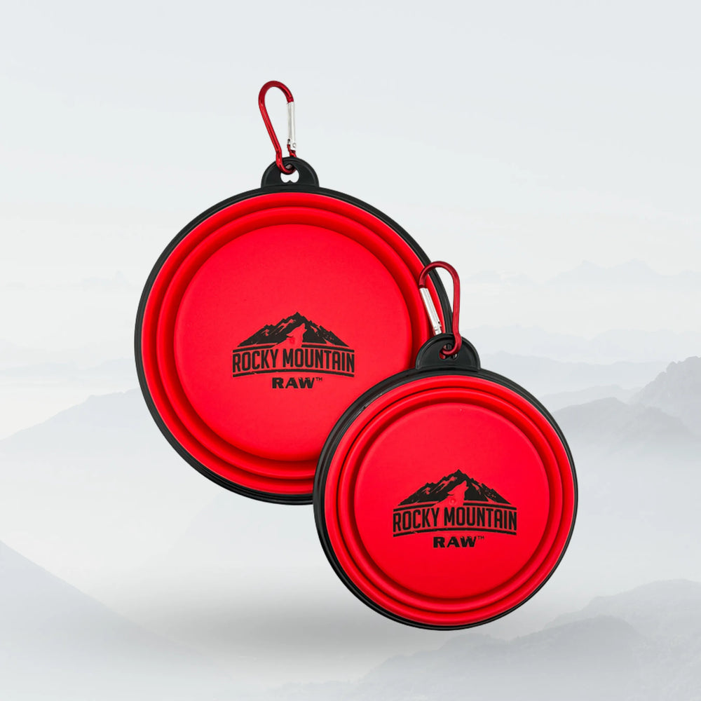 Bol Pliable pour Chien Rouge