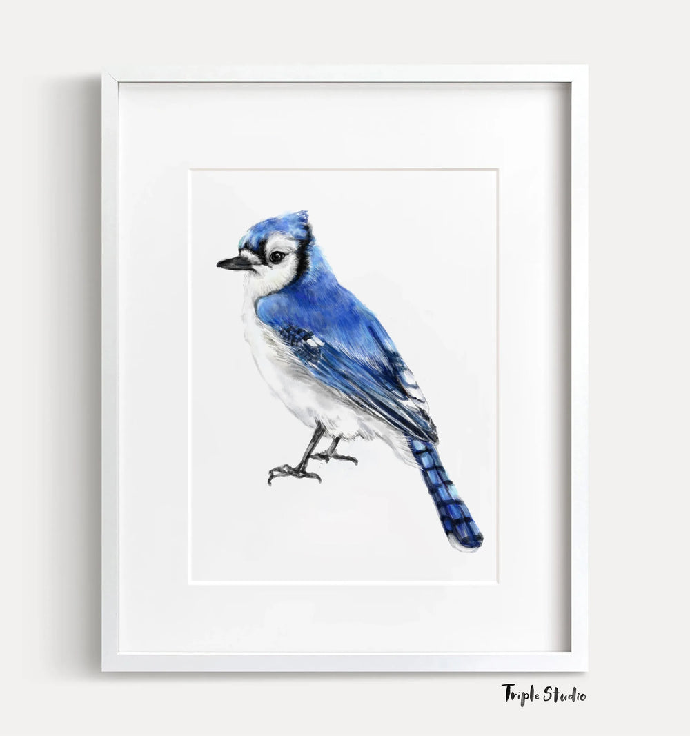 Impression d'art d'un geai bleu