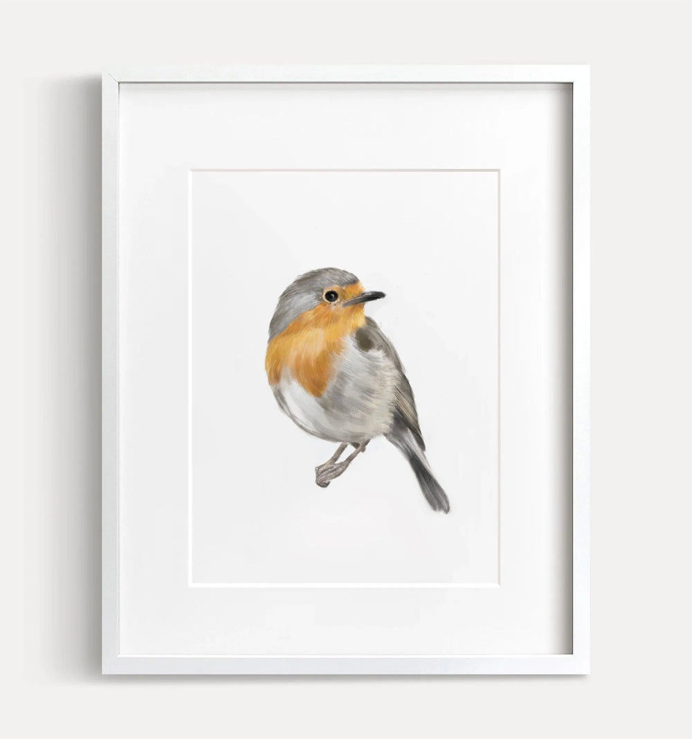 Robin Bird Art Print