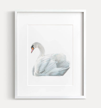 Swan Art Print