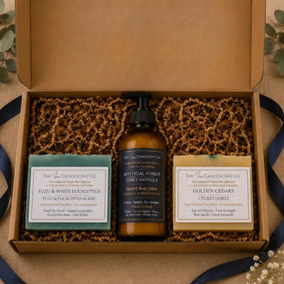 The Woodland Radiance Discovery Bundle