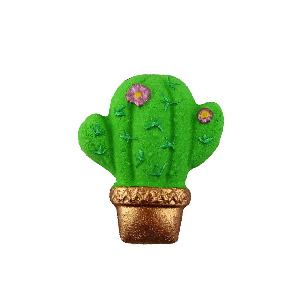 Cactus avec fleurs