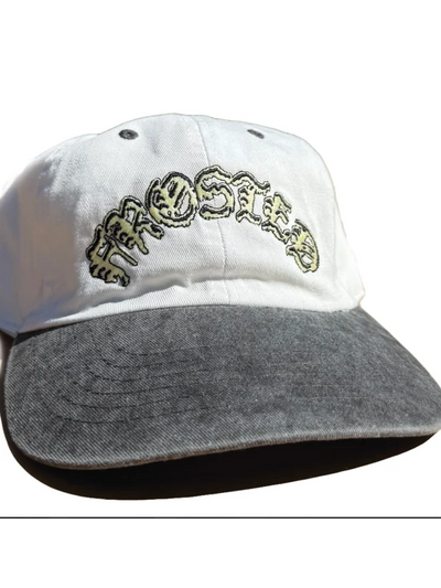 Frosted Skateboards 'Goth' Cap - Grey
