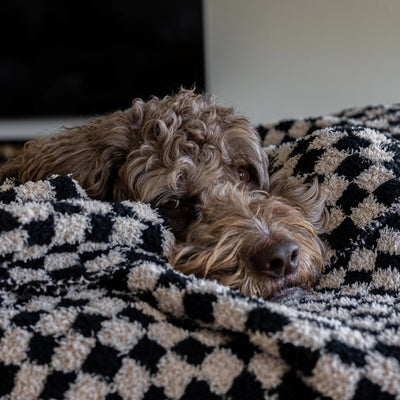 Tap Shoe & Rainy Day Check Print Extended Throw
