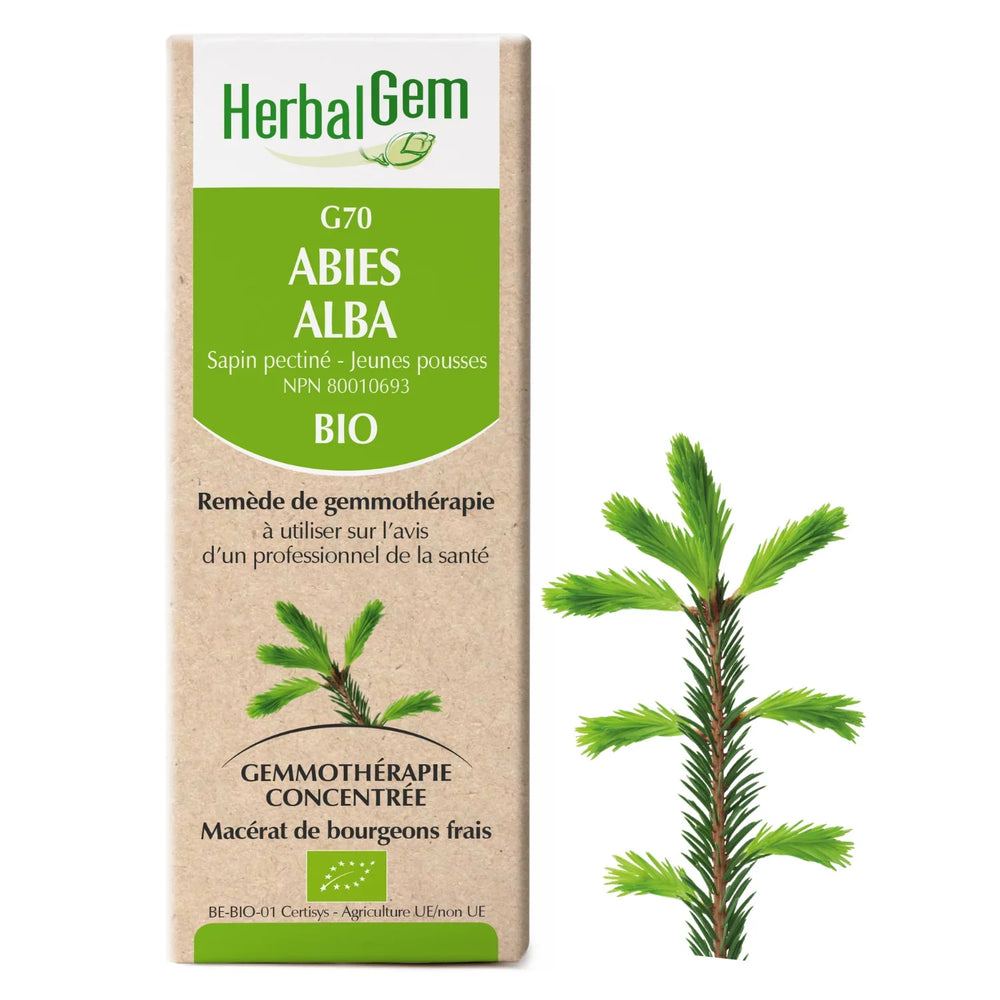 G70 - Abies alba - sapin pectiné