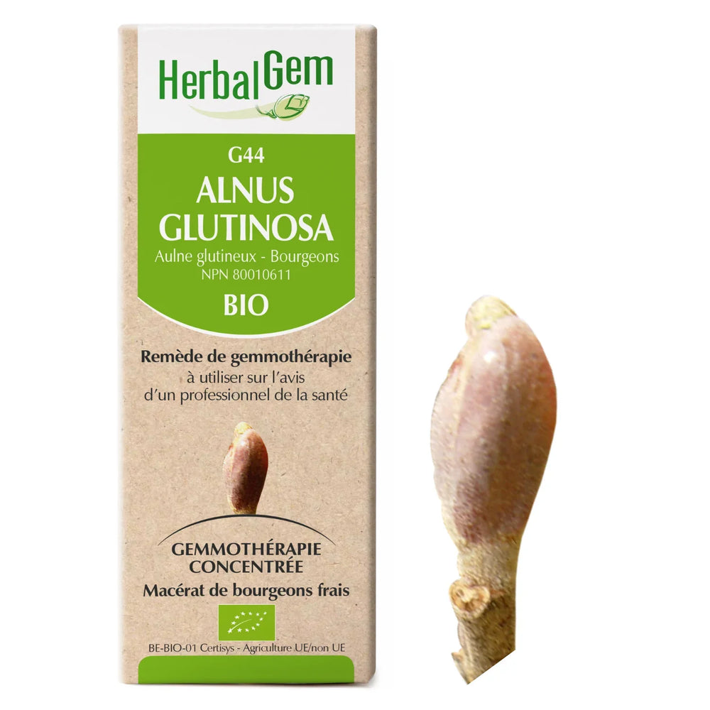 G44 - Alnus glutinosa — Unytii - Suppléments et Produits Naturels
