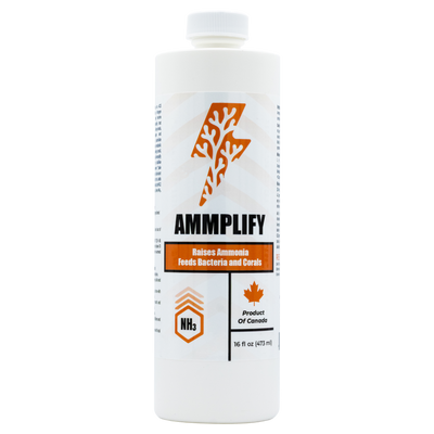 Ammplify