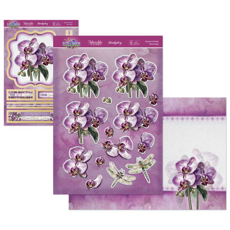 Kit Déco-Large En Pleine Floraison - Orchidées Opulentes