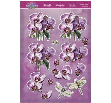In Full Bloom Deco-Large Set - Opulent Orchids