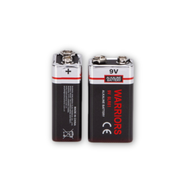 Piles alcalines BRS 9V — Paquet de 12 (BRS6LR619V)
