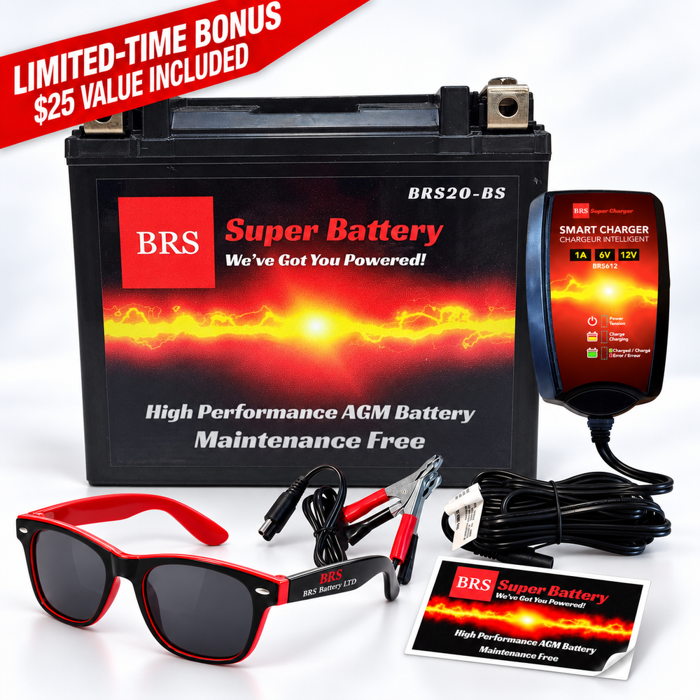 BRS20-BS Batterie et chargeur intelligent/mainteneur, kit combiné (garantie 30 jours)