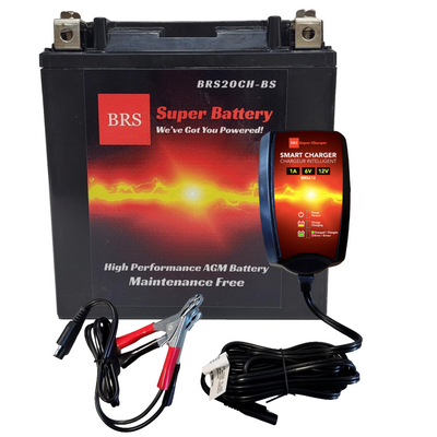 BRS20CH-BS Kit Combiné Chargeur de Batterie et Mainteneur Intelligent Garantie 30 Jours