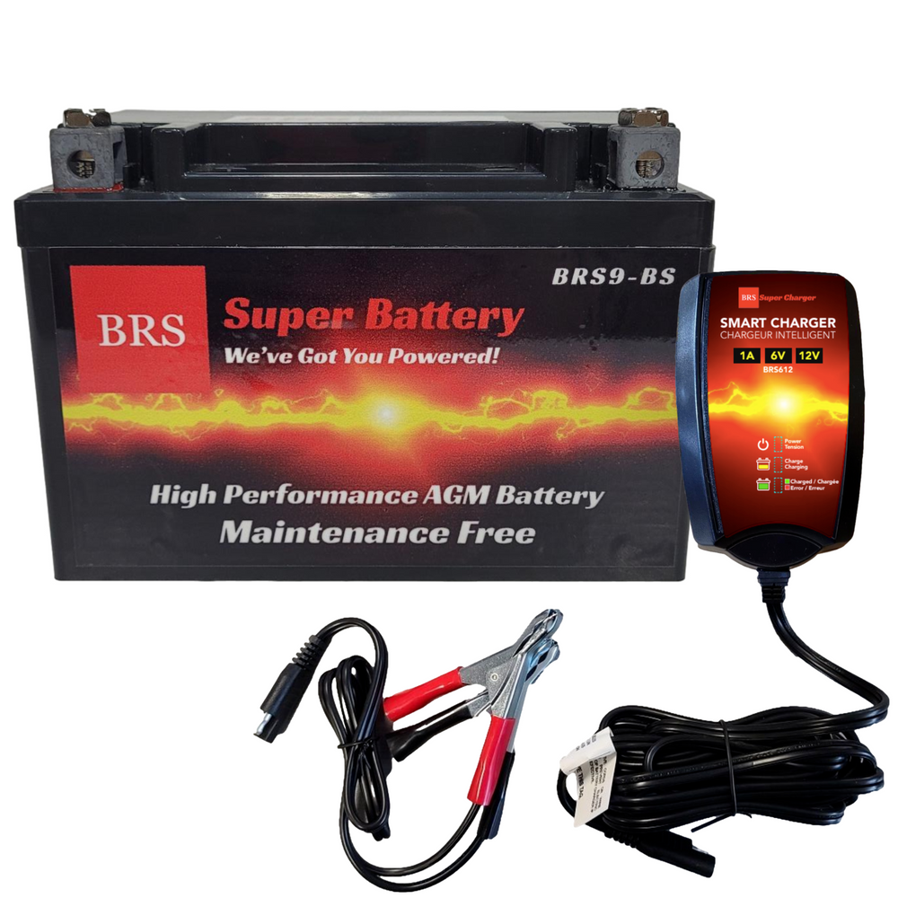 BRS9-BS Garantie de 30 jours Batterie et chargeur/mainteneur intelligent Combo Kit