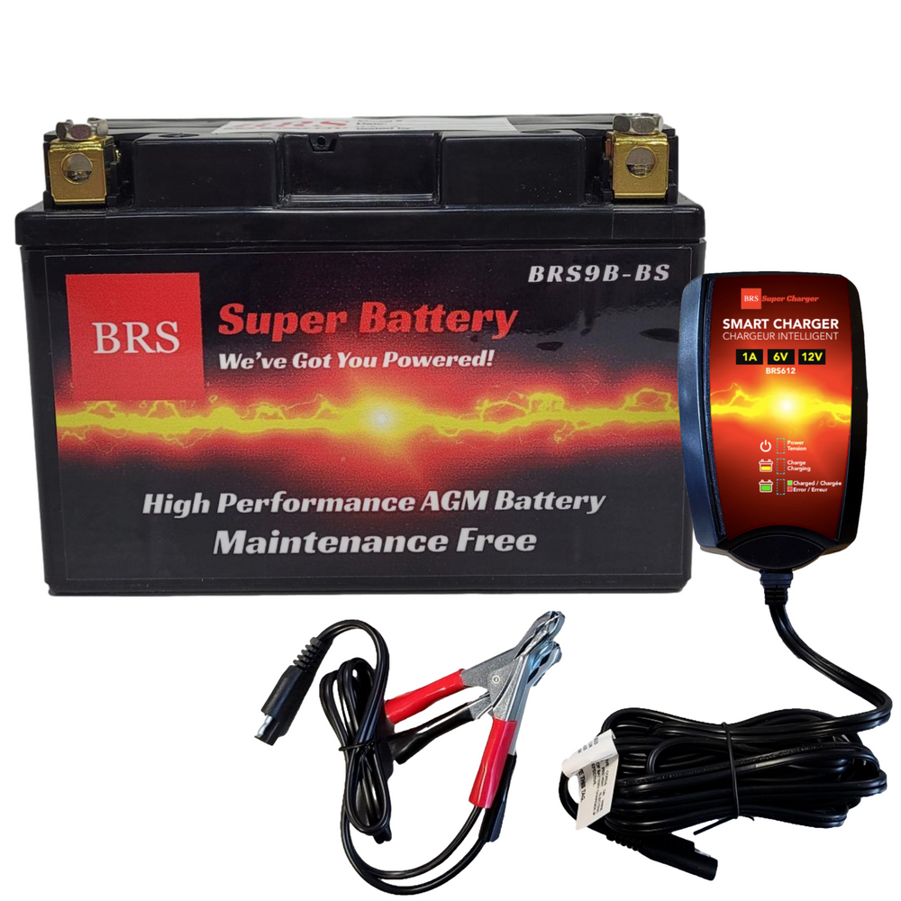 BRS9B-BS Kit Combiné Batterie et Chargeur / Mainteneur Intelligent Garantie 30 Jours