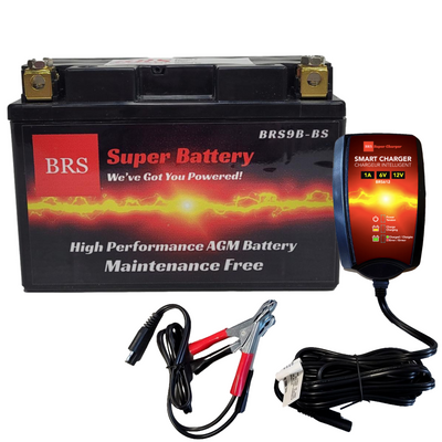 BRS9B-BS Kit Combiné Batterie et Chargeur / Mainteneur Intelligent Garantie 30 Jours