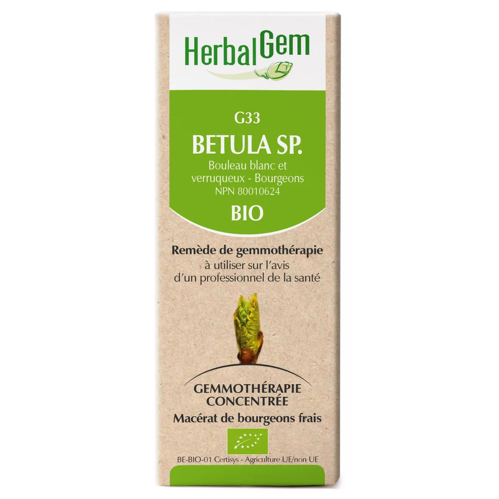 G33 Betula sp. (alba & verrucosa)