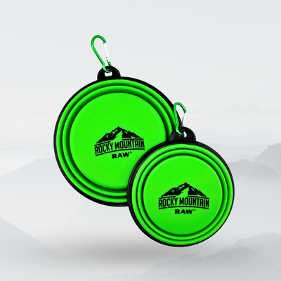 Bol Pliable Vert pour Chien